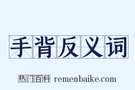 手背反义词是什么意思的图片